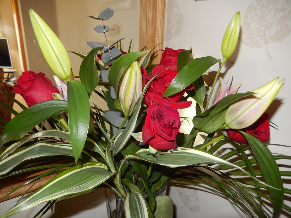 Bed and Breakfast Moor View Ingleton  Esterno foto